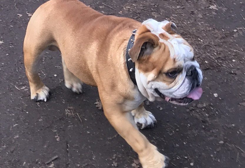 Le message de détresse publié par Census Johnston